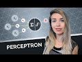 Perceptron Algorithm with Code Example - ML for beginners!