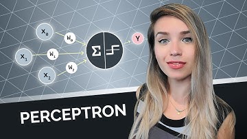 Perceptron-algoritme met codevoorbeeld - ML voor beginners!