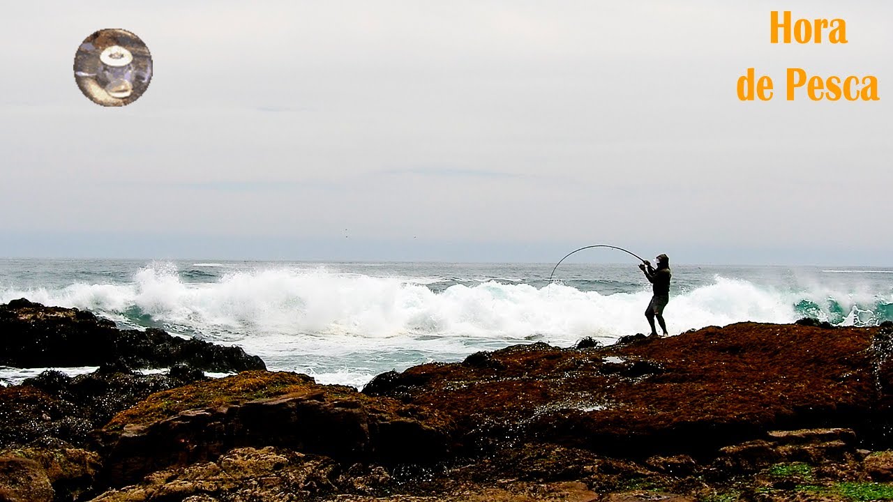 Mira a este pescador, por poco y pierde la gran corvina. Sea bass