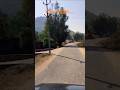 #mp #longdrive #ytshorts #safari #gaonkishanti #gaon #trending #viralvideo