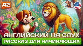 видео: Clever Dog 🎧 Рассказ на английском для начинающих (А2) картинка: Clever Dog 🎧 Рассказ на английском для начинающих (А2)