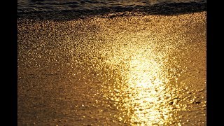 Shimmering Thoughts