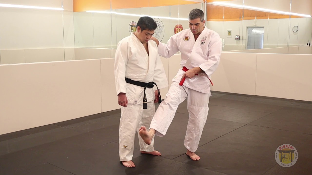 Ashi Guruma Part 1: Basic Form