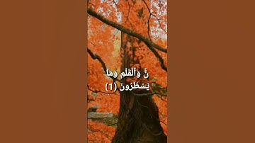 سورة القلم (1)~(4) القارئ محمد اللحيدان |#القرآن_الكريم #سورة_القلم