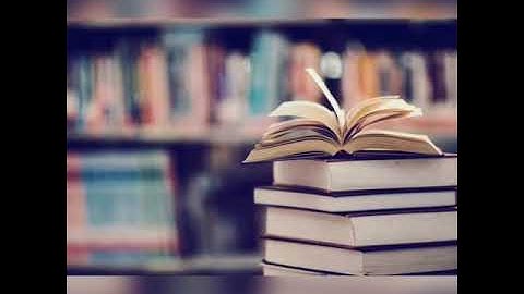 A Fellow Traveller : Summary in English