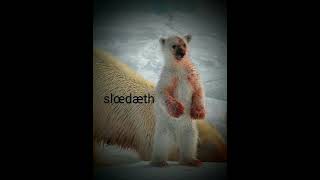 sublime (slowed reverb) greatest hits