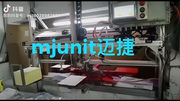 mjunit belt linear slide module with XZ axis gantry structure, servo motor drive synchronous belt