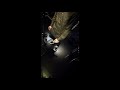 King Gnu / Vinyl 歌ってみた