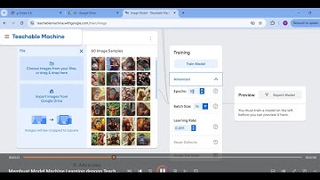 Membuat Model Machine Learning dengan Teachable Machine Klasifikasi Gambar Bianatang