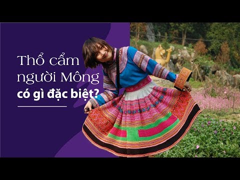 Video: Hoa Văn Thổ Cẩm