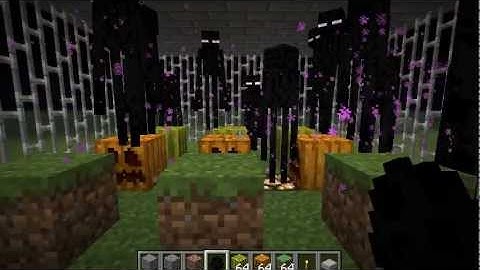 MineCraft 1.2.5 Mods - No More Ender Griefing!