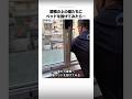 屋根の上の猫たちにベッドを投げてみたら…のサムネイル