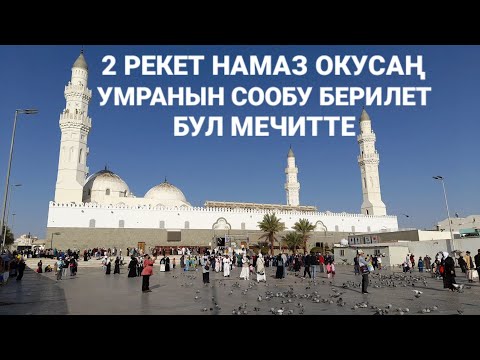 Video: Бюрократиялык уюштуруу структурасынын элементтери кайсылар?