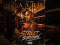 Aaro - Chrome Ice #hiphopmusic #westcoast #rap #clubmusic #2026newsong