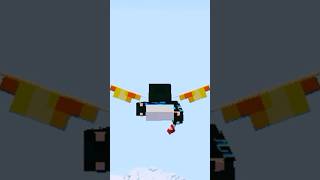 How I Fly Elytra #minecraft #gaming #mcpehindi