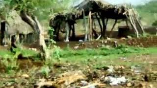 VID-20200123-WA0030.mp4