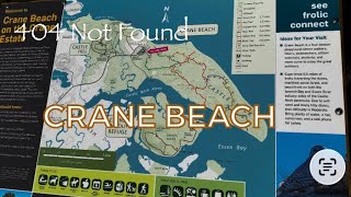 【Crane Beach 】獣道と鹿の足跡を追う　【wildlife】