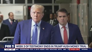 Trump hush money trial: Week 3 of testimony, gag orders, and more