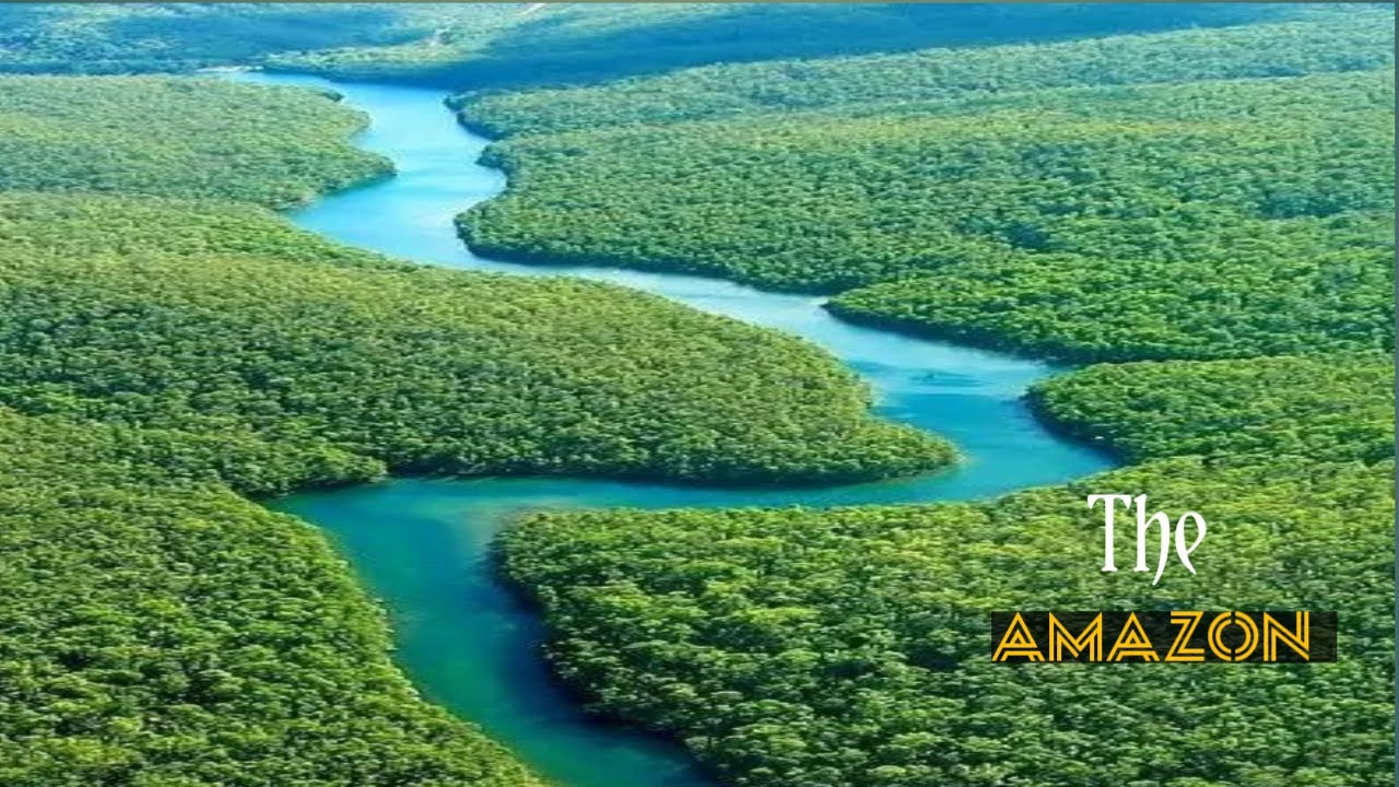 Amazon River Environment