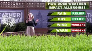 How Does Weather Play a Role with Allergy Season?