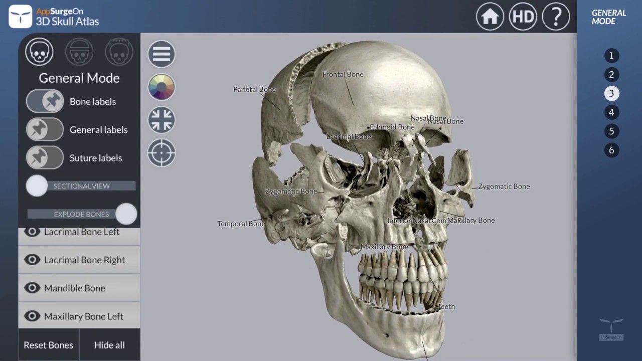 General Mode - AppSurgeOn 3D Skull Atlas