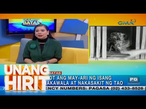 Video: Posible Bang Masiguro Ang Isang Alagang Hayop