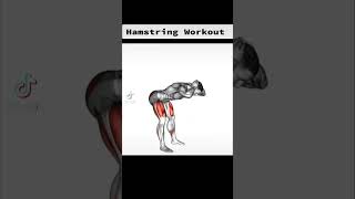 Hamstring Workout / Good Morning squat #hamstring #squat #fitfitness