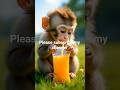 May 27, 2026 Panna ki tamanna Baby Monkey Tries Juice Box for First Time 🥤#shorts #monkey #babymon