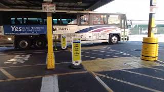 Buses Galore: Hoboken Terminal Style.