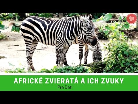 Video: 7 Exotické zvieratá, ktoré môžu žiť v interiéri