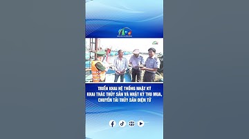 TRIỂN KHAI HỆ THỐNG NHẬT KÝ KHAI THÁC THỦY SẢN VÀ NHẬT KÝ THU MUA, CHUYỂN TẢI THỦY SẢN ĐIỆN TỬ