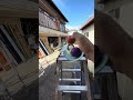 Colorful Wooden Ball Marble Run ASMR & Long Transparent PVC Pipe Slope
