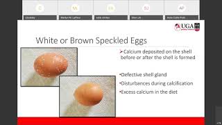 Egg Abnormalities   Poultry Webinar Series