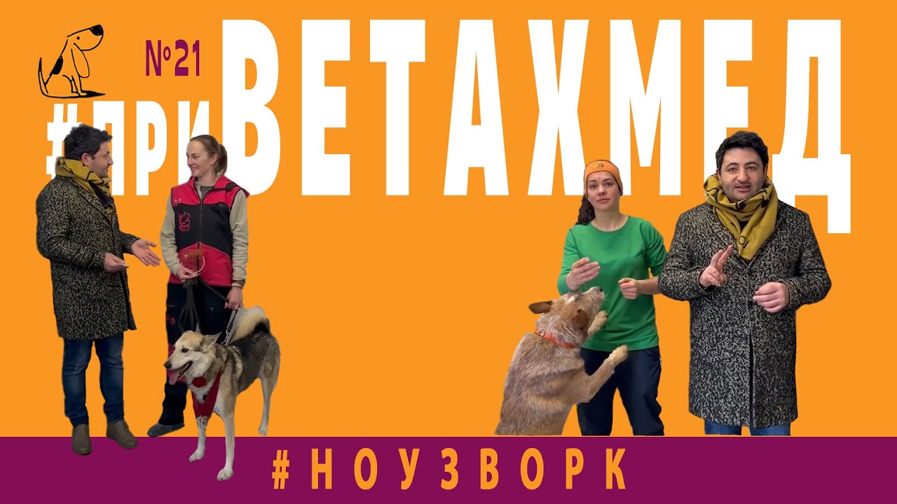 №21. Ноузворк - YouTube