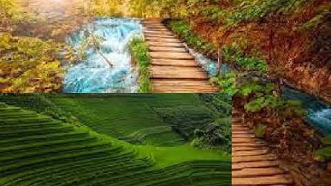 ما اجمل قراءة القرآن بفهم معانيه للقارئ الشيخ محمد مصطفى سورة الغاشيه رووووووعه