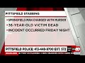 Man arrested after stabbing in Pittsfield