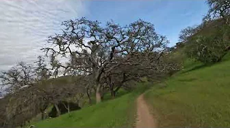 Hollister Hills SVRA - Warp Canyon - Black Diamond