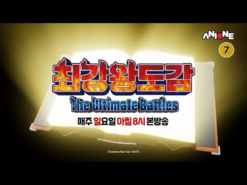 최강의 동물을 가리는 토너먼트! 최강왕 도감 | 매주 (일) 아침 8시 애니원 본방사수!