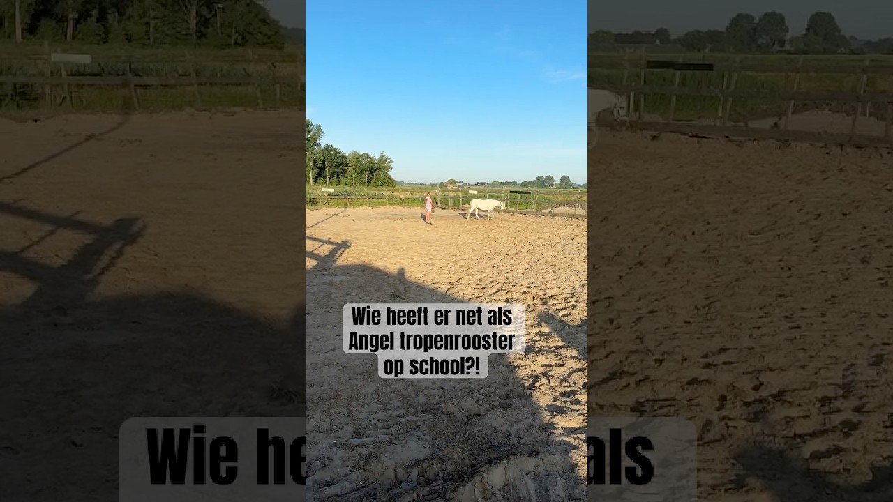 Heb jij ook tropenrooster?