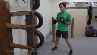 Tire Dummy Workout: Solo punching sets 1