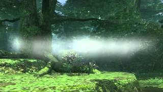 PSO world premiere