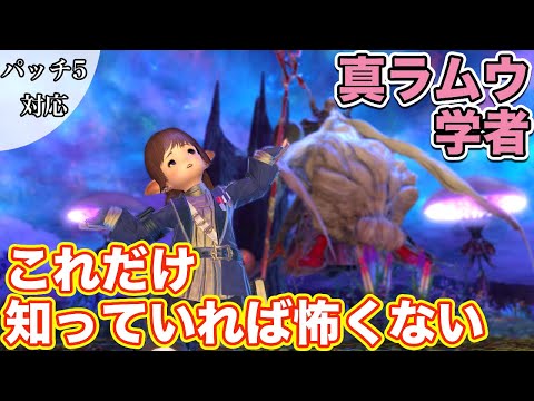 【FF14】真ラムウに学者(ヒーラー)で挑戦【これだけ知っていれば怖くないヒーラー編 2021年版】