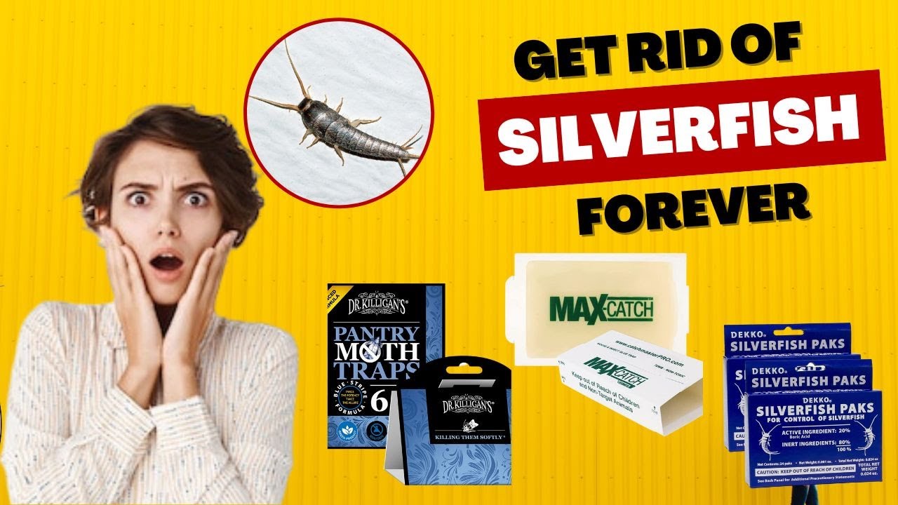 Best Silverfish Traps - Protect Your Belongings From Silverfish Damage 