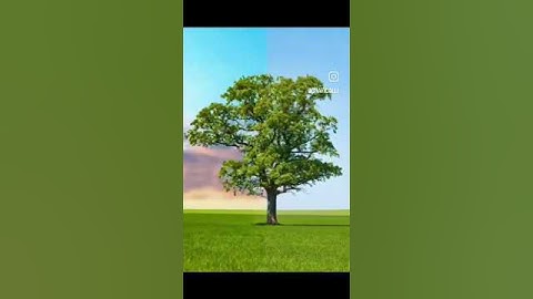 Remove Complex background in Photoshop. #photoshop #photoediting #removebackground