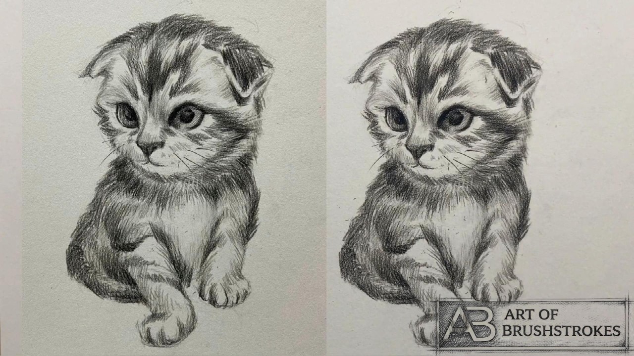 Урок рисования карандашом | Эскиз котенка с использованием техники штриховки