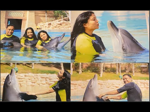 DOLPHIN INTERACTION AT ATLANTIS, THE PALM, DUBAI 🐬 || Hum Mile Dolphins Se!! BEST EXPERIENCE EVER!!