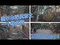 墨尔本深度游之一千级台阶 [4K] | 1000 Steps in 4K video Kokoda Track Memorial Walk &amp; One Tree Hill picnic ground