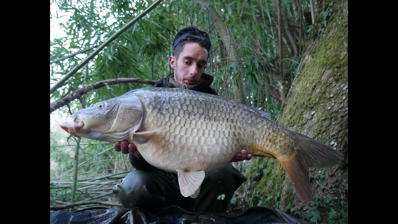 100%river, 100%savage, carpe passion : #6