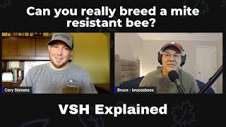 Mite Resistant Honeybees? VSH Explained (Cory Stevens)