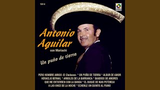 Video thumbnail of "Antonio Aguilar - Bandido De Amores"